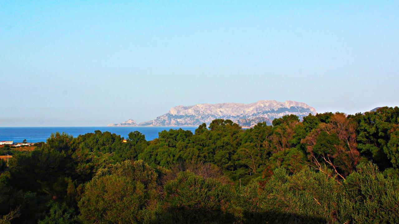 Sole Matto Rooms Olbia Luaran gambar