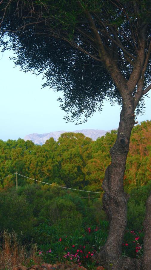 Sole Matto Rooms Olbia Luaran gambar