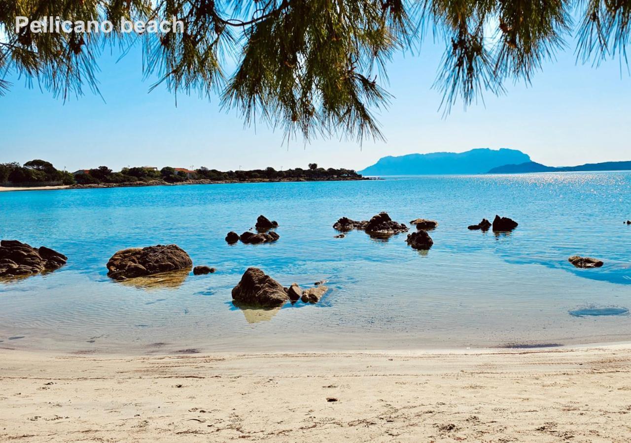 Sole Matto Rooms Olbia Luaran gambar